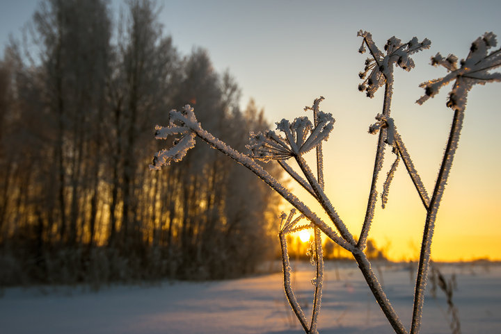 _DSC0941.jpg