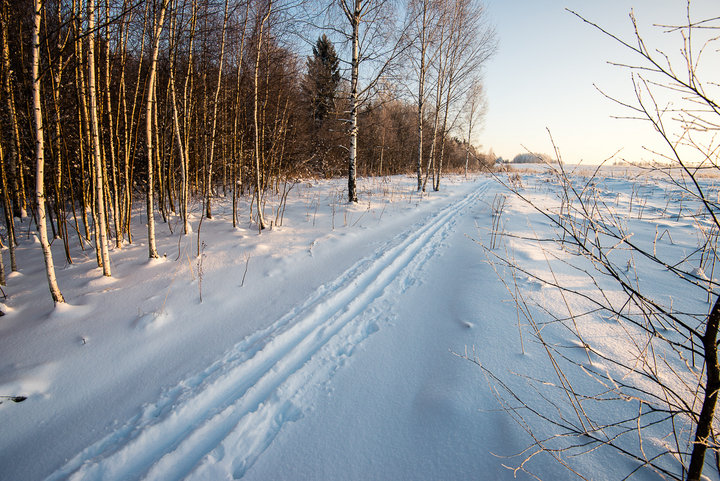 _DSC0925.jpg