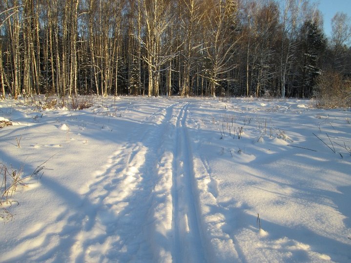21.01.2014 011.JPG