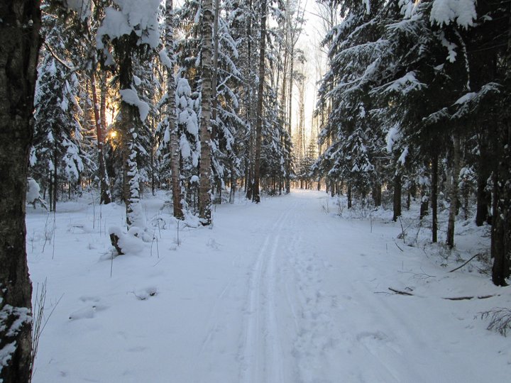 21.01.2014 020.JPG