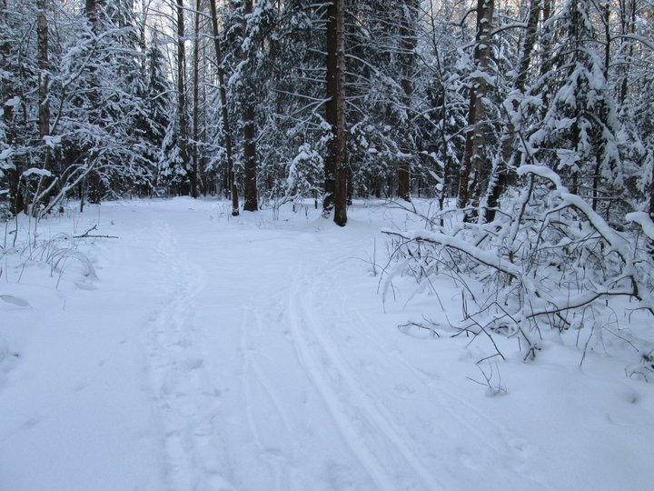 21.01.2014 042.JPG