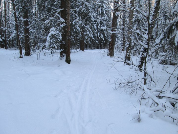 21.01.2014 044.JPG
