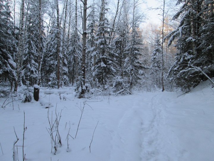 21.01.2014 045.JPG