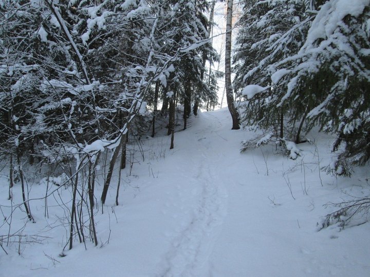 21.01.2014 046.JPG