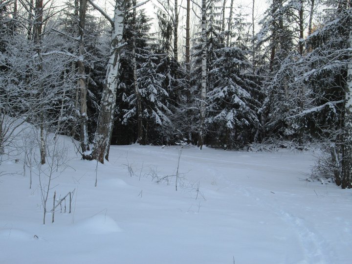 21.01.2014 056.JPG