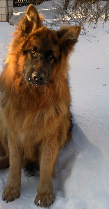 2012-12-16-510_2аа.jpg (1.07 МБ) Просмотров: 1288 2012-12-16-510_2аа.jpg