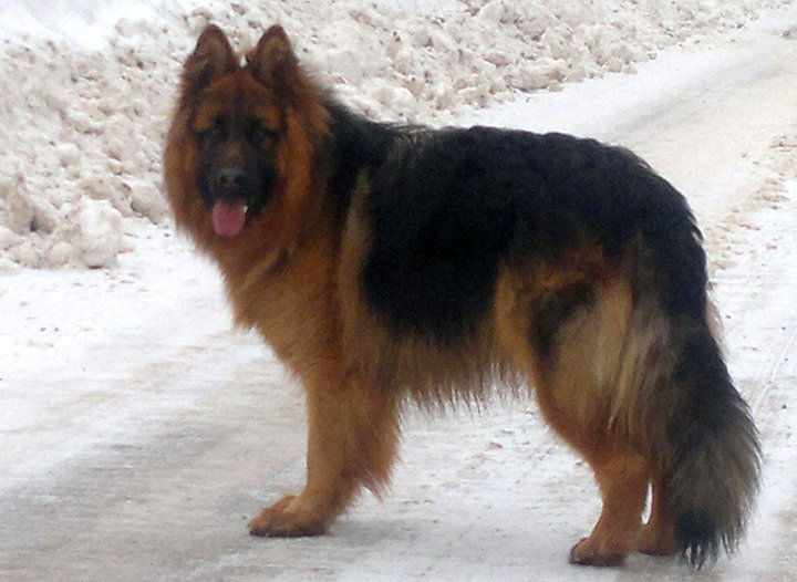 2013-02-10-687_1.jpg (215.29 КБ) Просмотров: 1314 2013-02-10-687_1.jpg