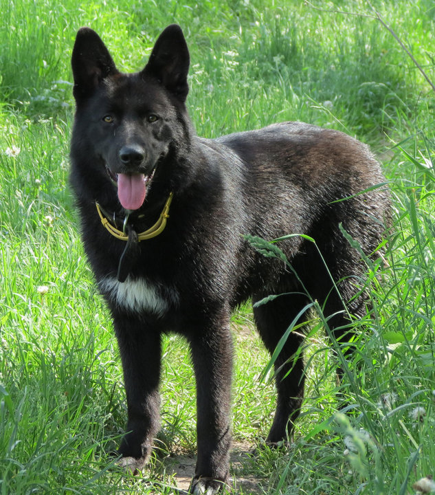 IMG_0170.JPG (732.74 КБ) Просмотров: 552 IMG_0170.JPG