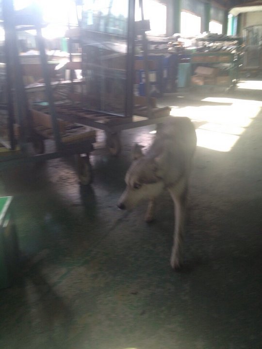 xacka.jpg (109.1 КБ) Просмотров: 1495 xacka.jpg