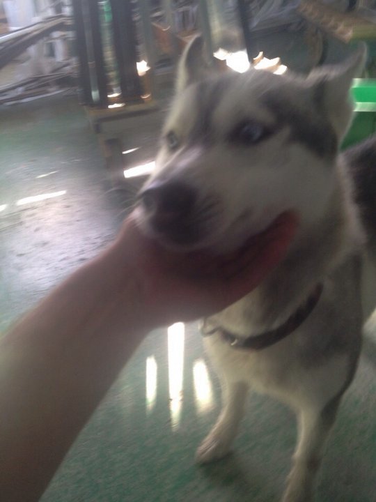 xaska.jpg (105.82 КБ) Просмотров: 1495 xaska.jpg