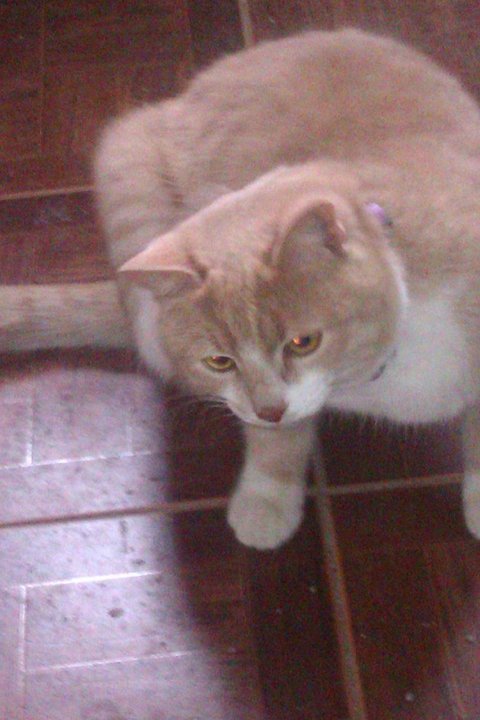 кевин.jpg (124.71 КБ) Просмотров: 1249 кевин.jpg