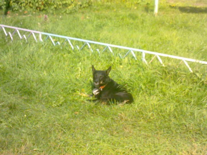 190920141147.jpg (411.61 КБ) Просмотров: 1502 190920141147.jpg