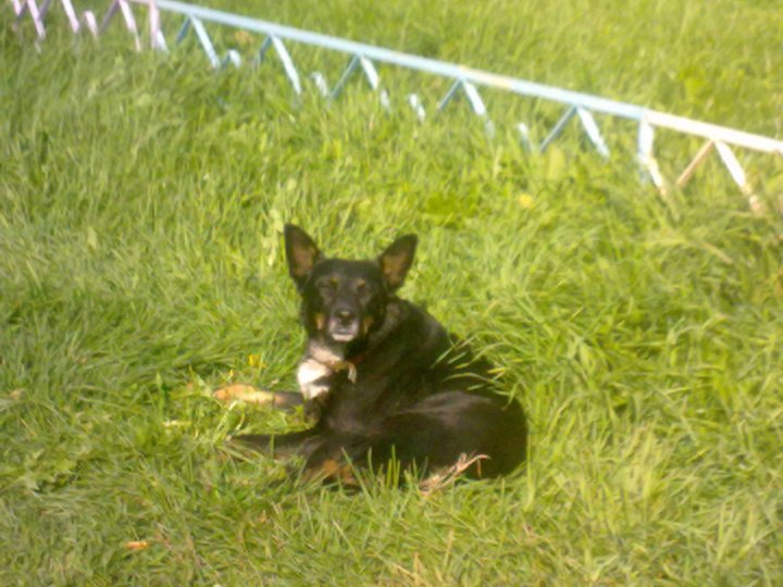 190920141148.jpg (367.73 КБ) Просмотров: 1502 190920141148.jpg