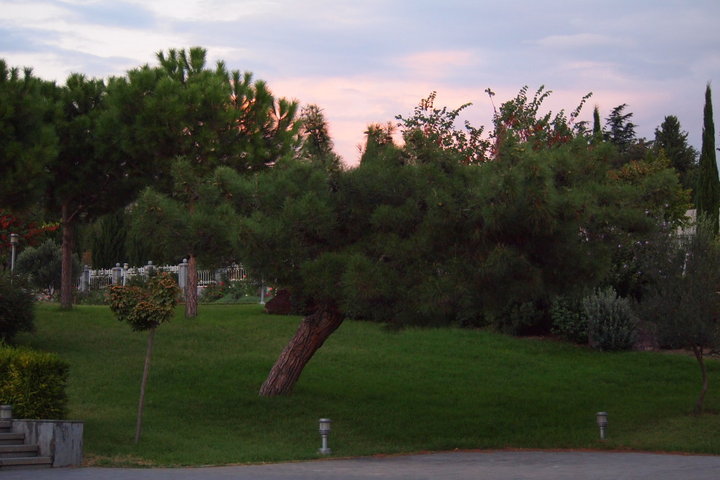 18.JPG (262.37 КБ) Просмотров: 5686 18.JPG