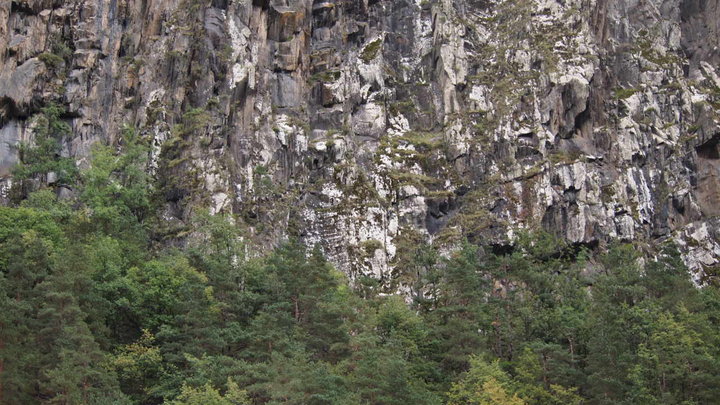 P9190016.JPG (188.57 КБ) Просмотров: 2752 P9190016.JPG