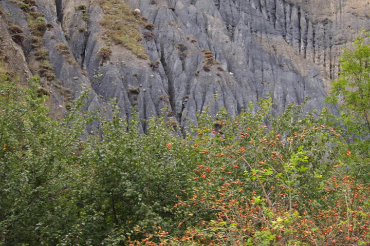 P9190005.JPG (256.74 КБ) Просмотров: 2745 P9190005.JPG