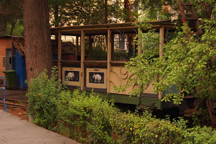 P9200610.JPG (241.04 КБ) Просмотров: 3129 P9200610.JPG