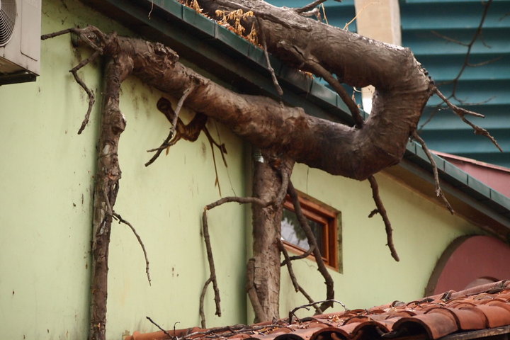 P9200625.JPG (253.19 КБ) Просмотров: 3129 P9200625.JPG