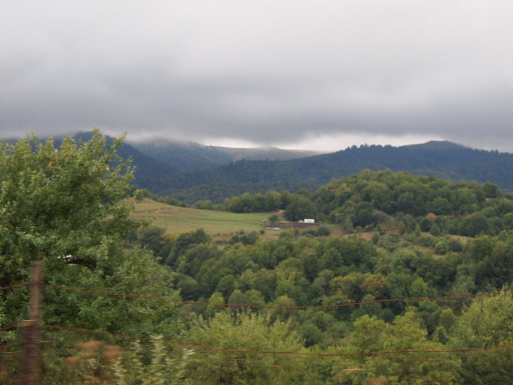 P9221247.JPG