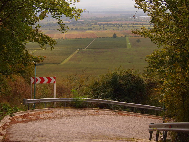 P9221522.JPG