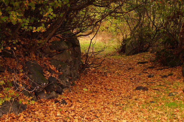 P9242001.JPG (231.61 КБ) Просмотров: 3283 P9242001.JPG