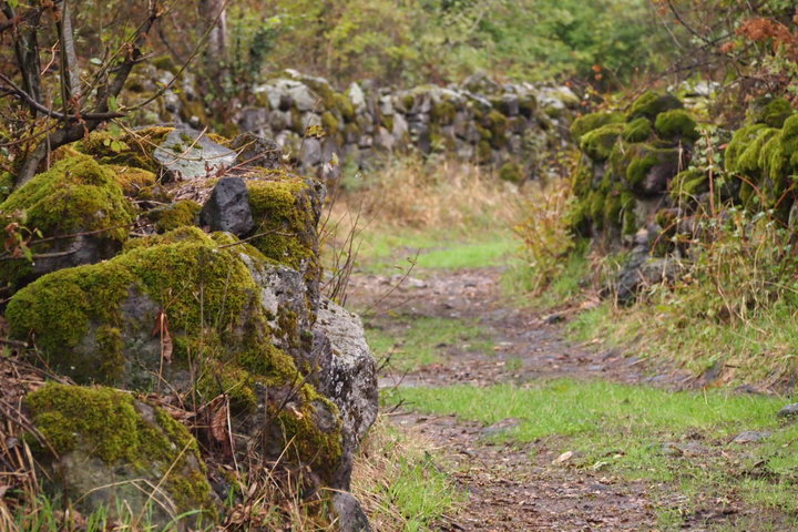 P9242030.JPG
