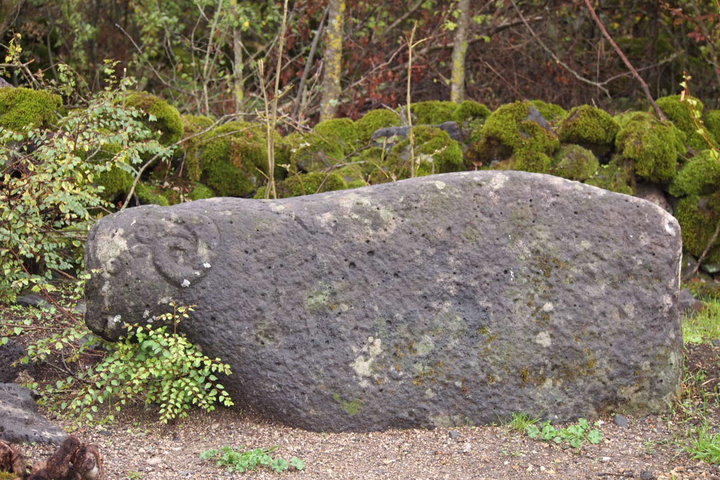 P9242048.JPG