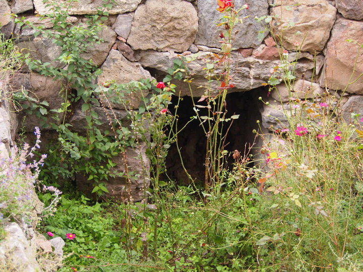 P9252750.JPG (264.27 КБ) Просмотров: 2727 P9252750.JPG