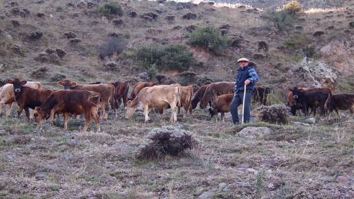 P9263039.JPG (197.27 КБ) Просмотров: 3339 P9263039.JPG