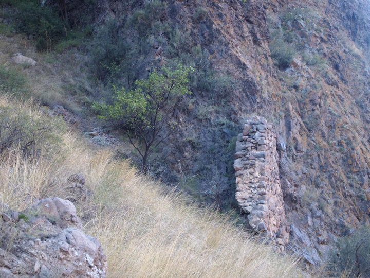 P9263115.JPG
