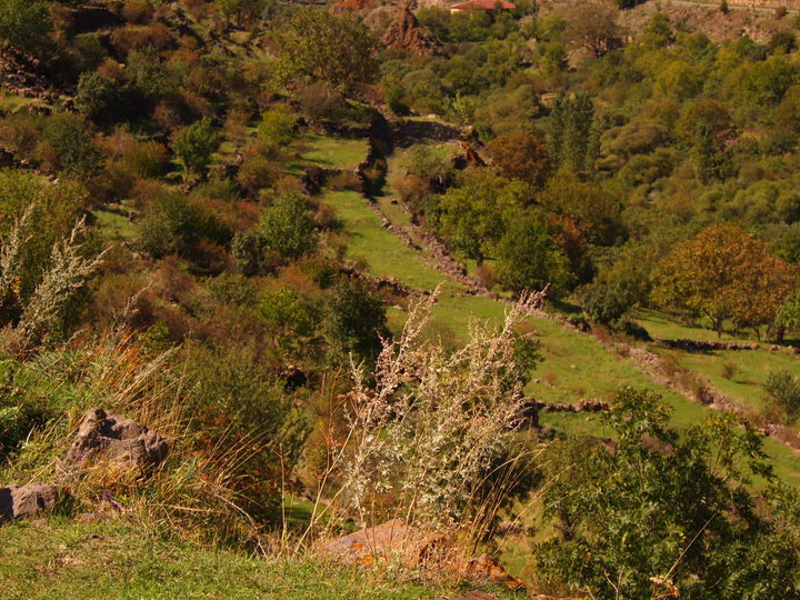 P9273265.JPG