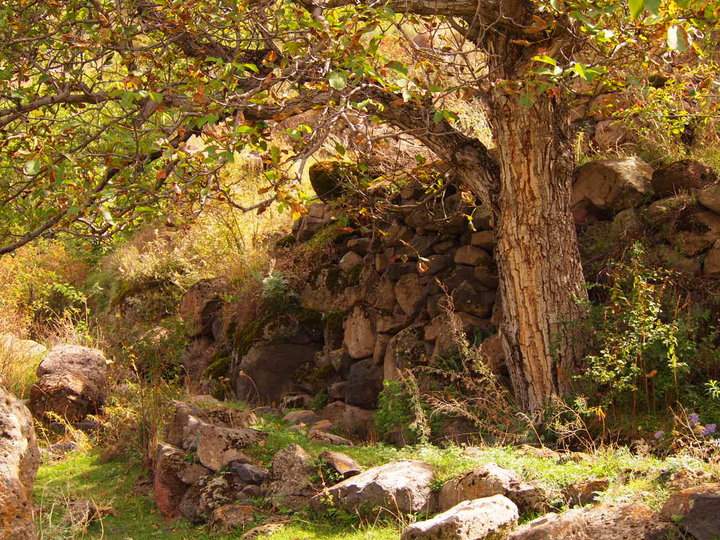 P9273287.JPG