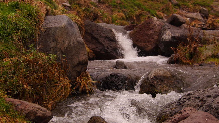 P9283395.JPG