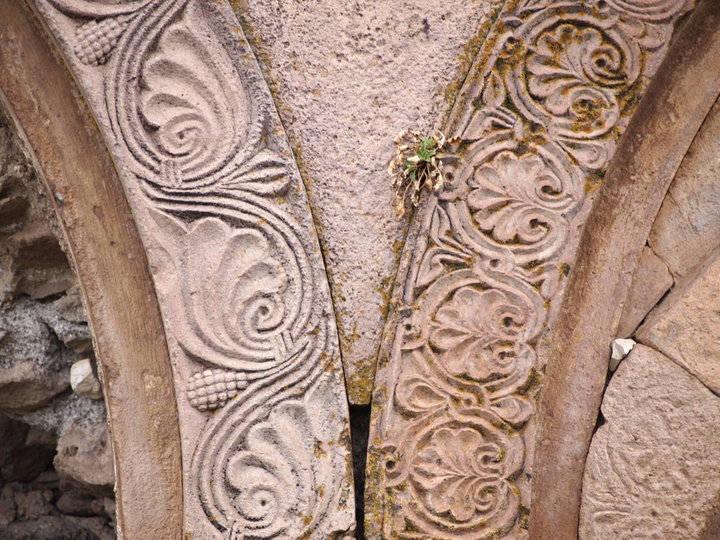 P9283576.JPG