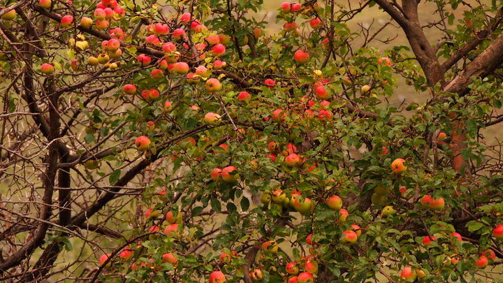 P9283650.JPG