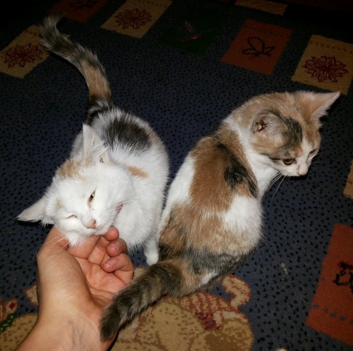 20141120_184638.jpg