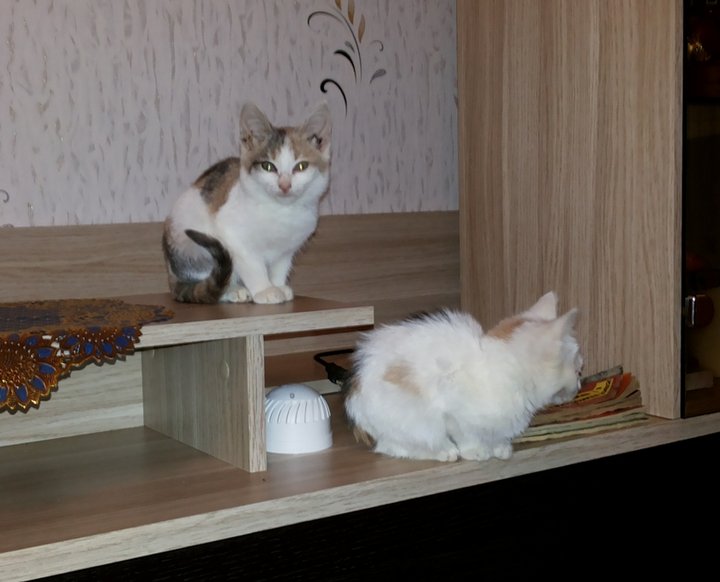 20141119_185032.jpg
