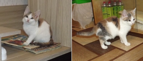 Кнопка.jpg Кнопка.jpg