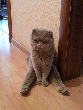 16.jpg