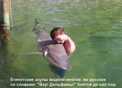 аку.jpg