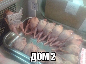 дом2.jpg