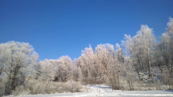 WP_20150122_12_21_05_Proнов.jpg