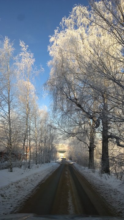 WP_20150122_12_46_25_Proнов.jpg