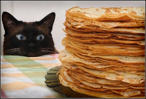 котэ и блины.jpg