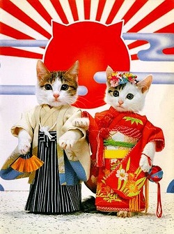 День Кошки в Японии.jpg День Кошки в Японии.jpg
