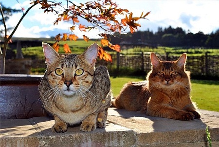 они смотрят на нас 10.jpg