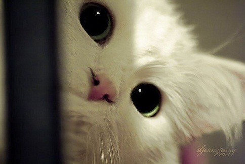 они смотрят на нас 12.jpg