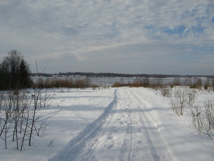 240.JPG