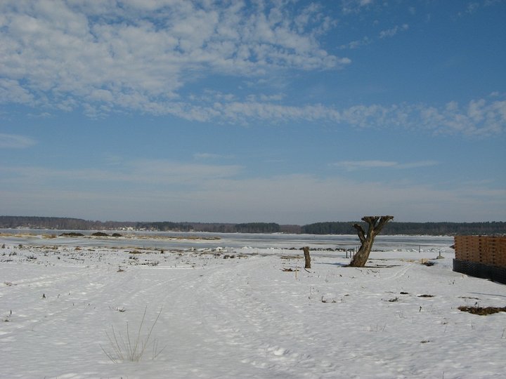 145.JPG