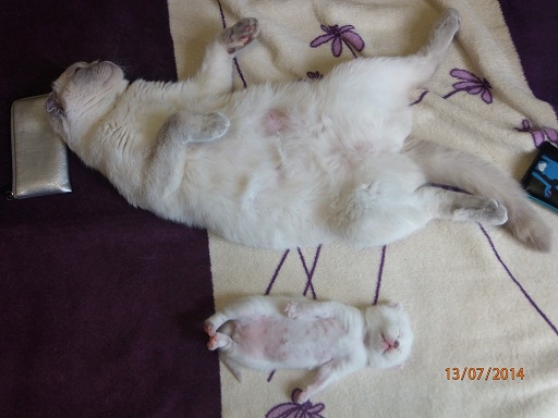 тихий час.jpg